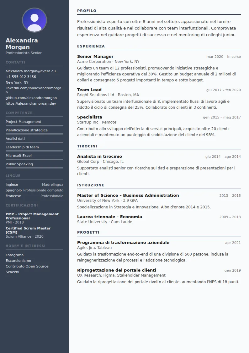 Modello di CV Auditor