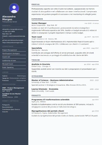 Modello di CV Auditor