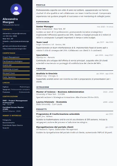 Modello di CV Banker