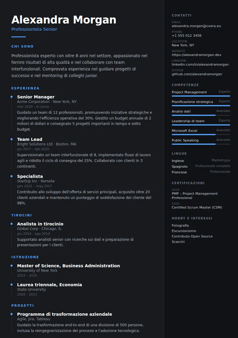 Modello di CV Carbon