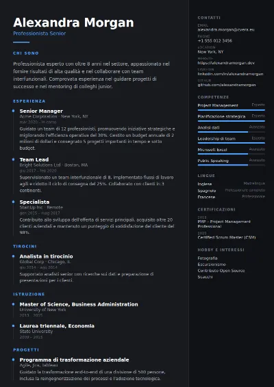 Modello di CV Carbon
