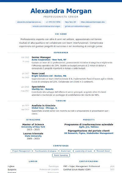 Modello di CV Cobalt