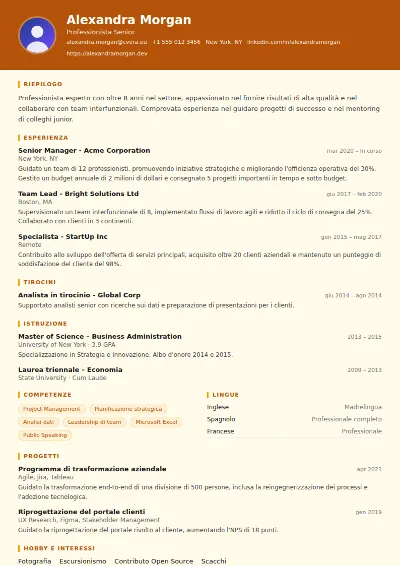 Modello di CV Construction