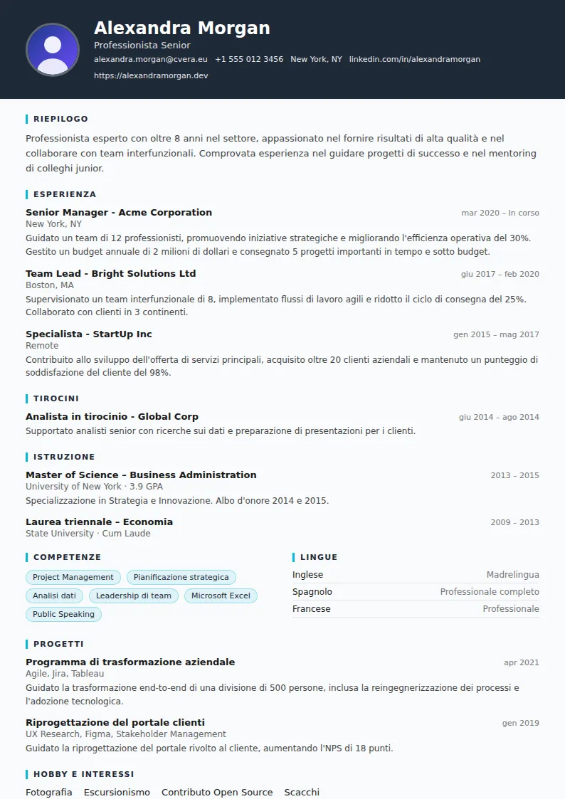 Modello di CV Consultant