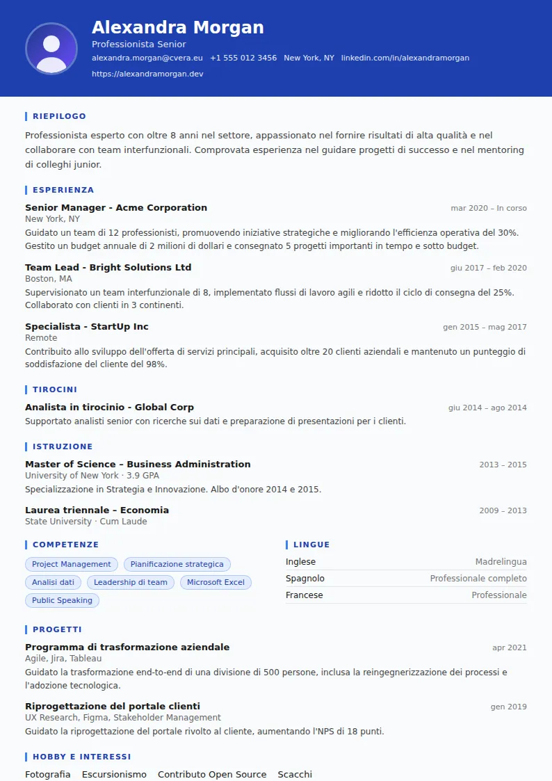 Modello di CV Driver