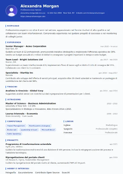 Modello di CV Driver