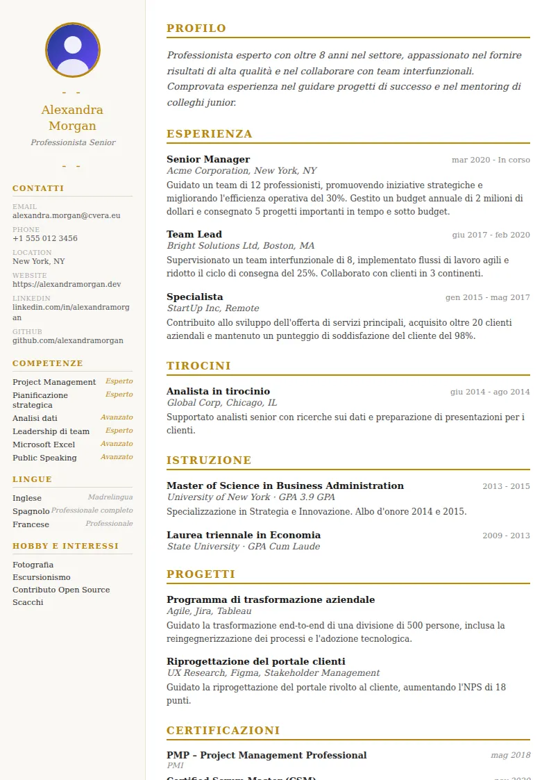 Modello di CV Elegant
