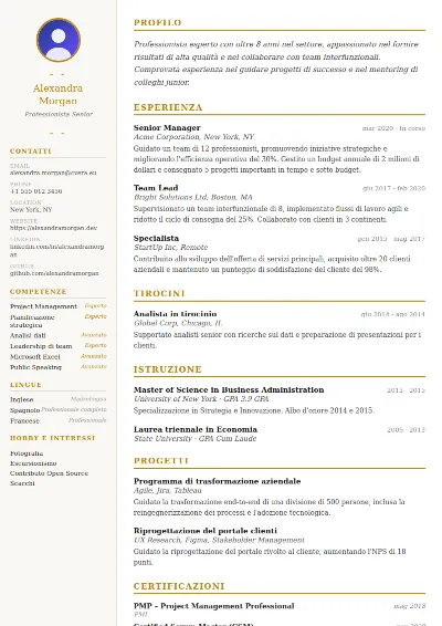 Modello di CV Elegant