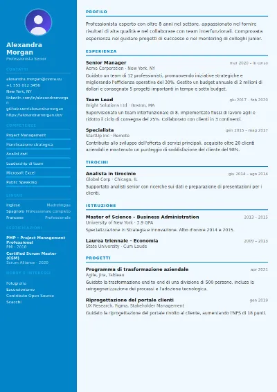 Modello di CV Flight Attendant