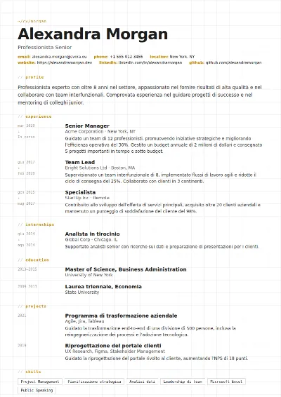 Modello di CV Gridline