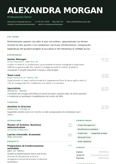 Modello di CV Headline