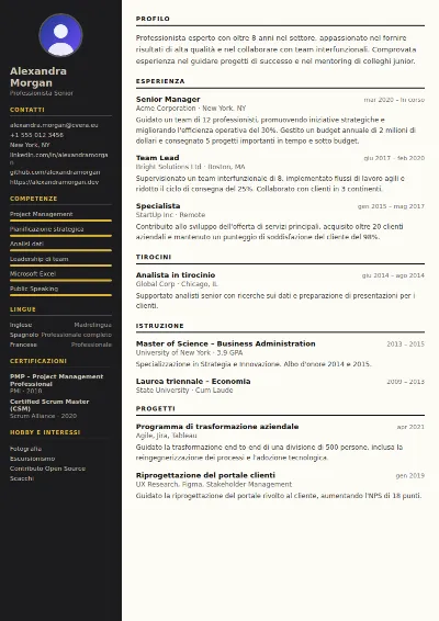 Modello di CV Hotel Manager