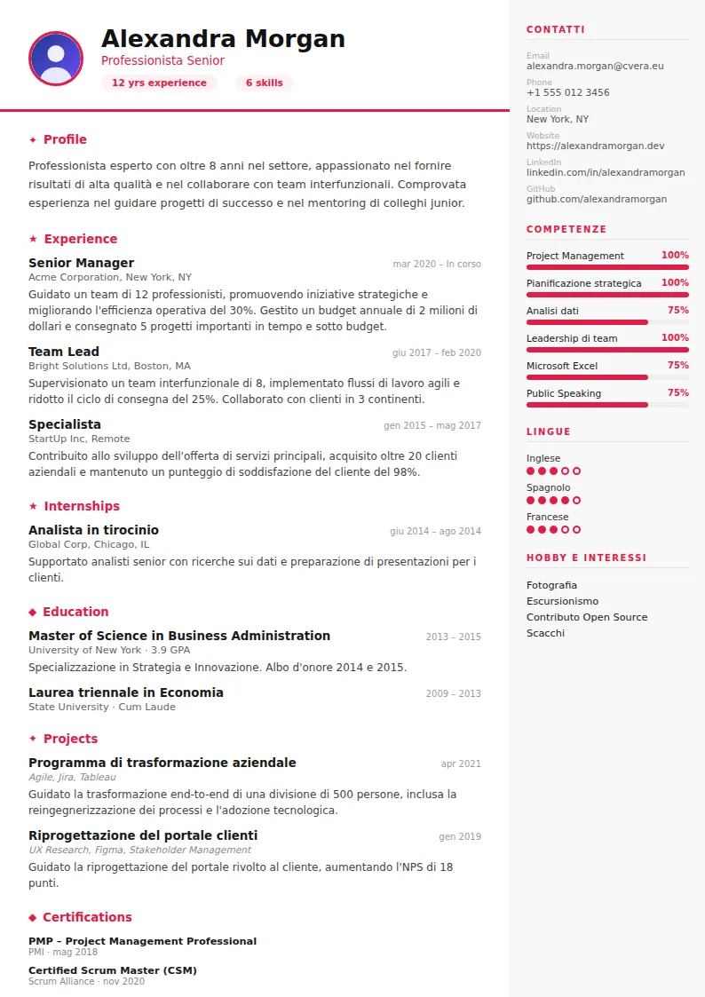 Modello di CV Infographic