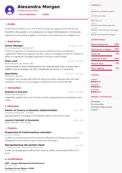 Modello di CV Infographic