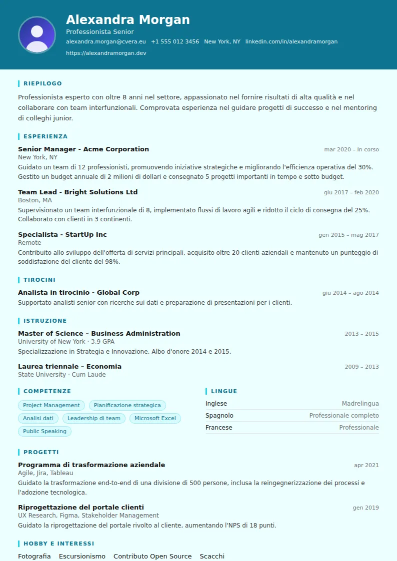 Modello di CV IT Support