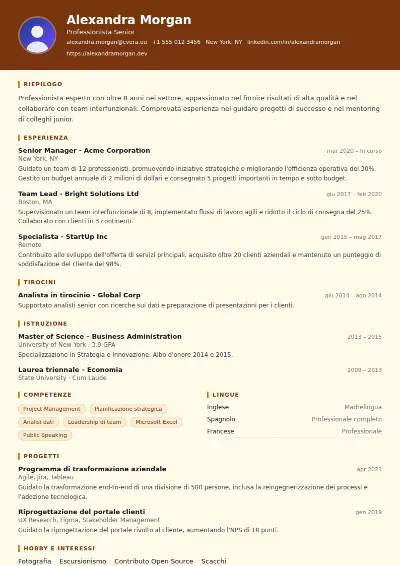Modello di CV Librarian