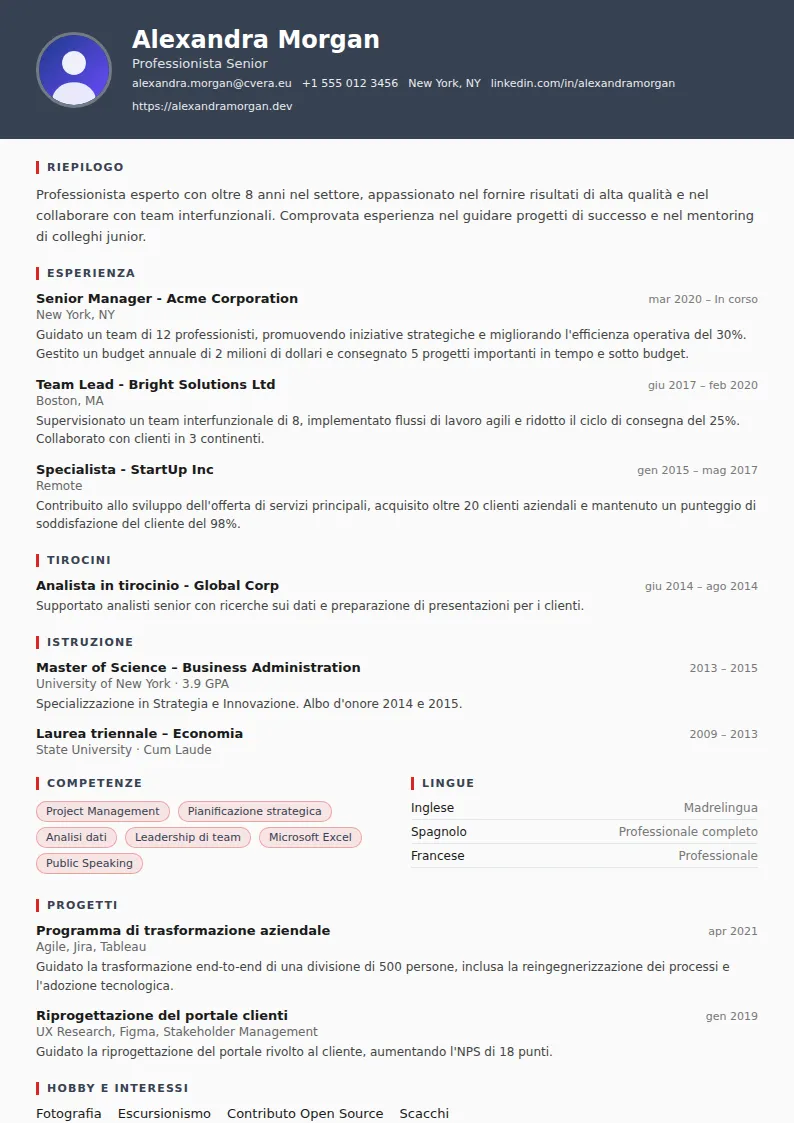Modello di CV Mechanic