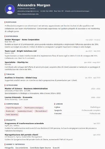 Modello di CV Mechanic