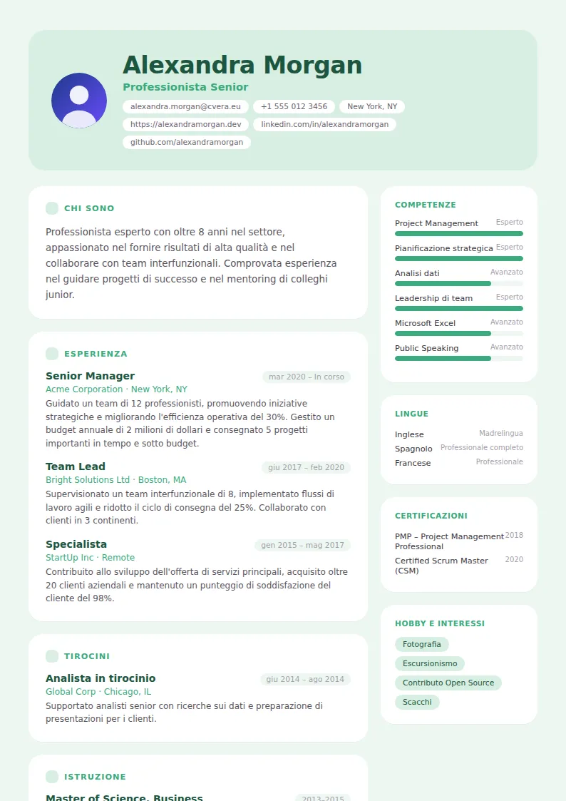 Modello di CV Mint