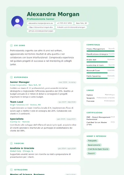 Modello di CV Mint