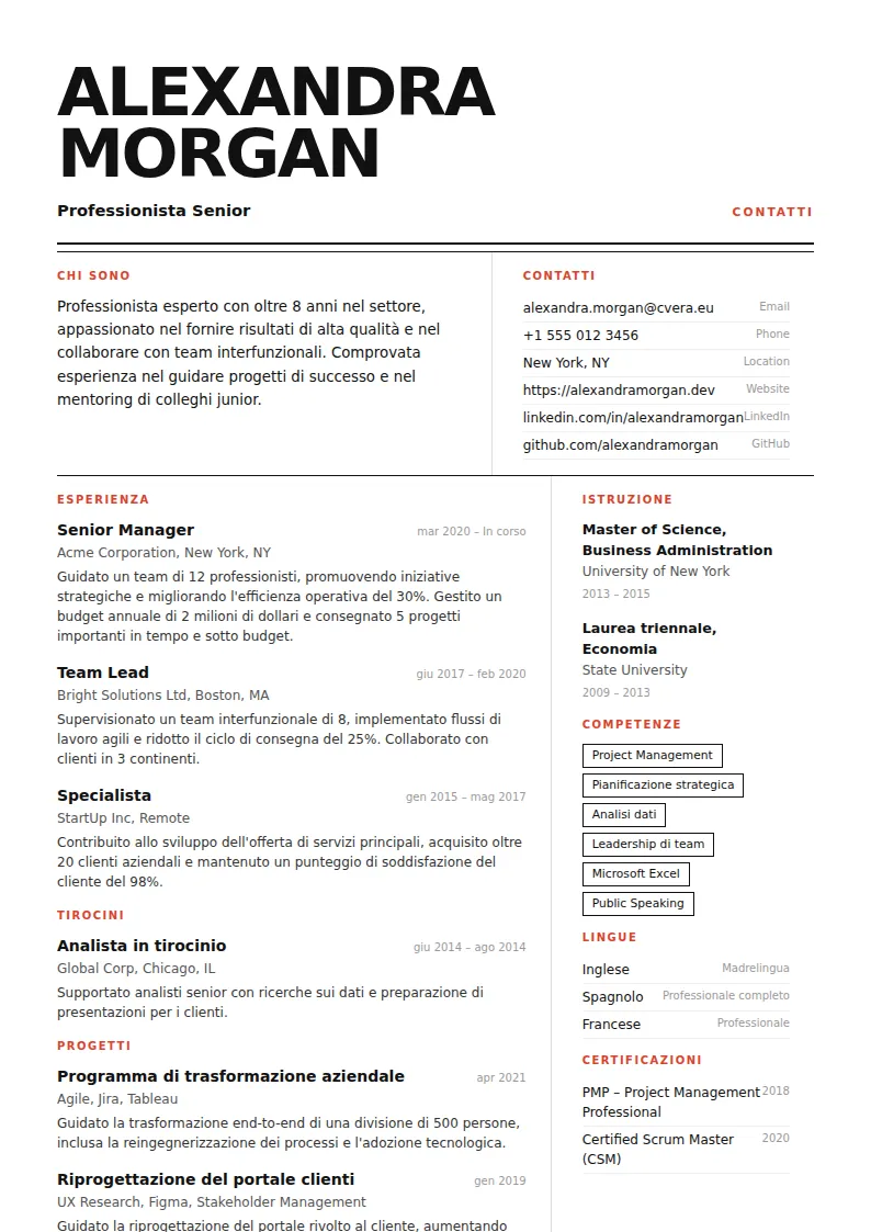 Modello di CV Monolith