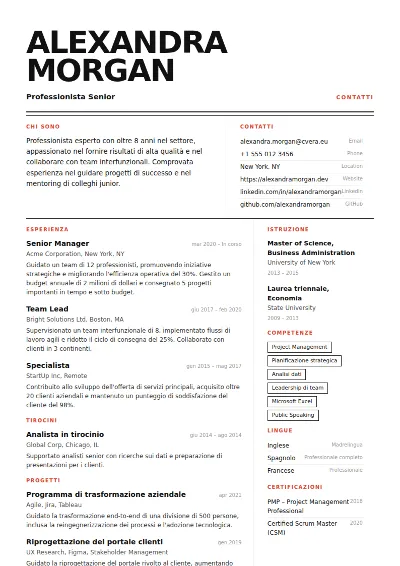 Modello di CV Monolith