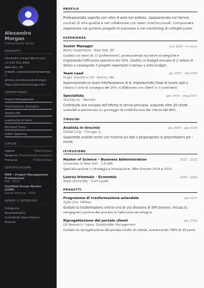 Modello di CV Photographer
