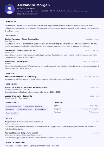 Modello di CV Professor