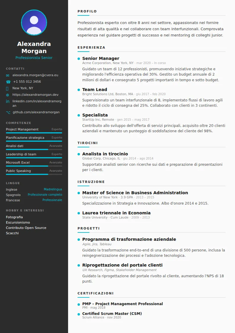 Modello di CV Sleek