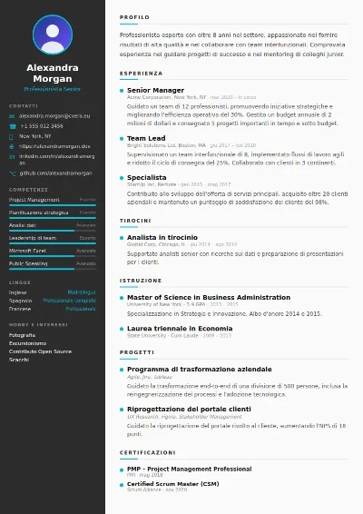 Modello di CV Sleek