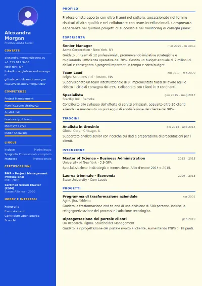 Modello di CV Teacher