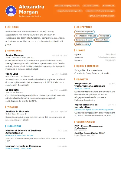 Modello di CV Vibrant