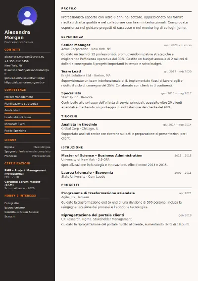 Modello di CV Welder