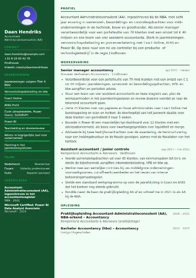Cv-voorbeeld accountant