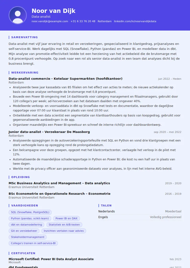 Cv-voorbeeld data-analist
