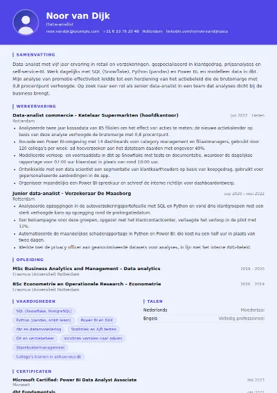 Cv-voorbeeld data-analist