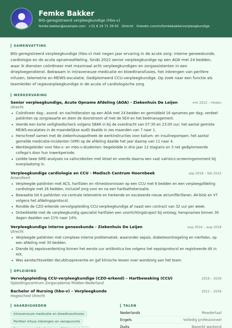 Cv-voorbeeld verpleegkundige
