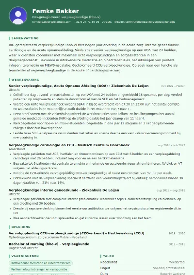 Cv-voorbeeld verpleegkundige