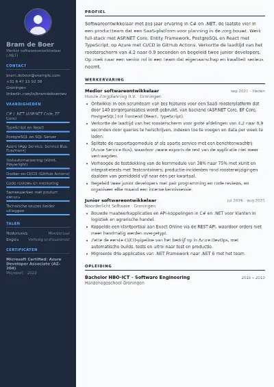 Cv-voorbeeld softwareontwikkelaar