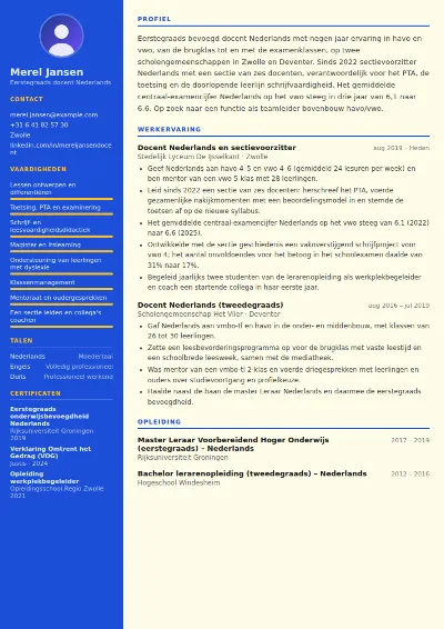 Cv-voorbeeld docent