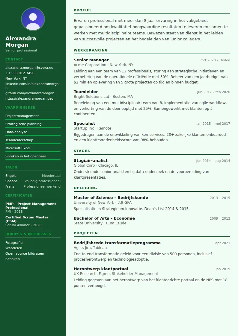 Cv-sjabloon Accountant