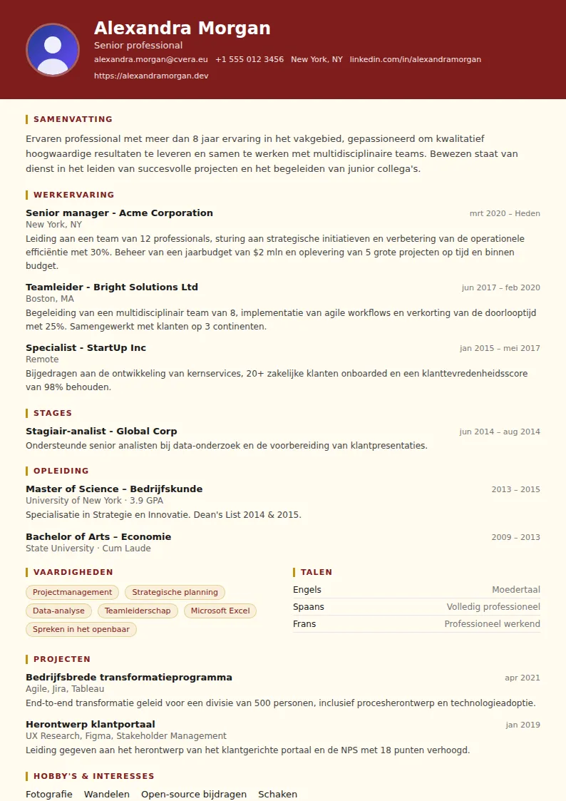 Cv-sjabloon Attorney