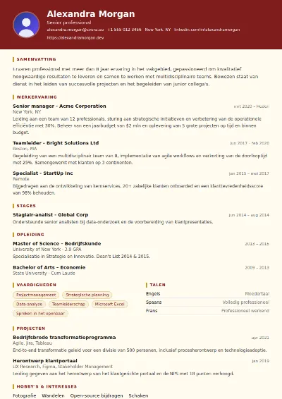 Cv-sjabloon Attorney