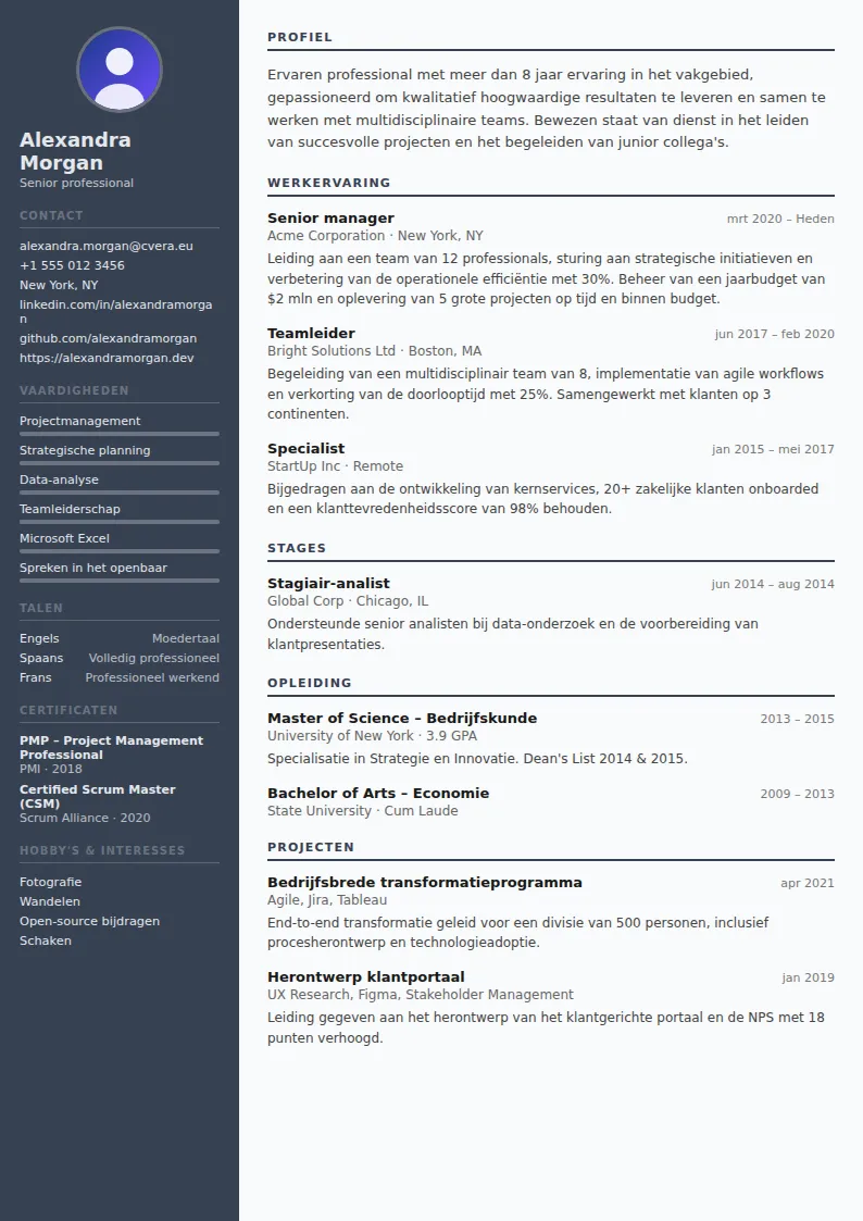 Cv-sjabloon Auditor