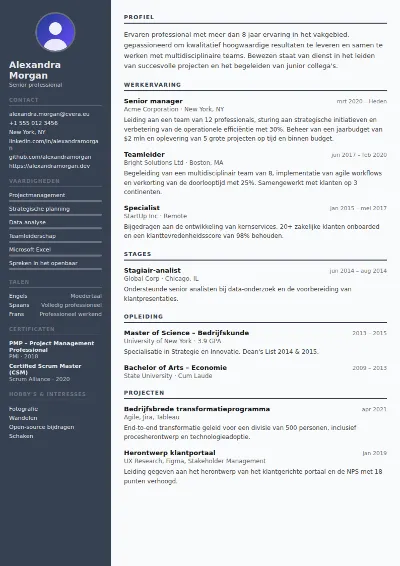 Cv-sjabloon Auditor