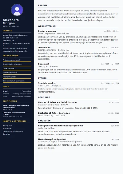 Cv-sjabloon Banker