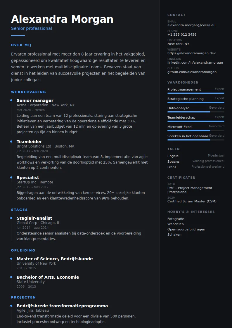 Cv-sjabloon Carbon