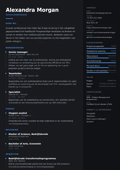 Cv-sjabloon Carbon