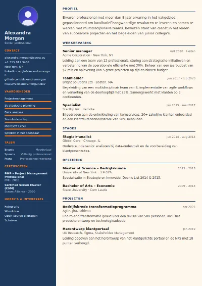 Cv-sjabloon Civil Engineer