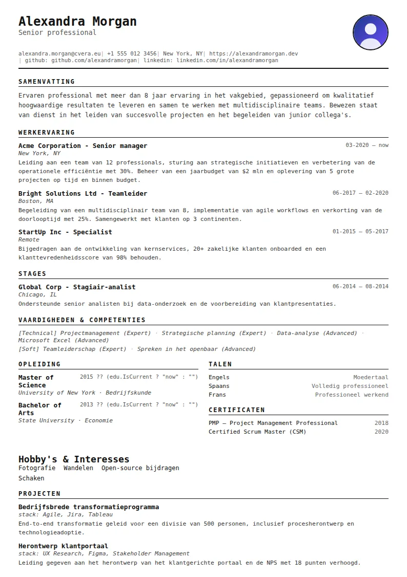Cv-sjabloon Compact